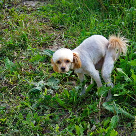 �������)