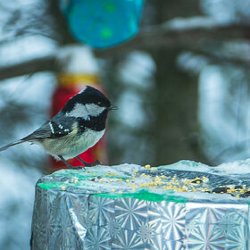 ������ �������� � ������.